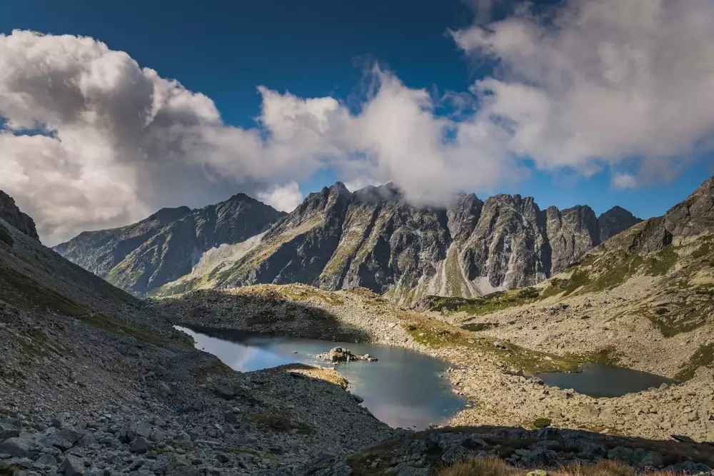 Volby Slovensko Pruzkum